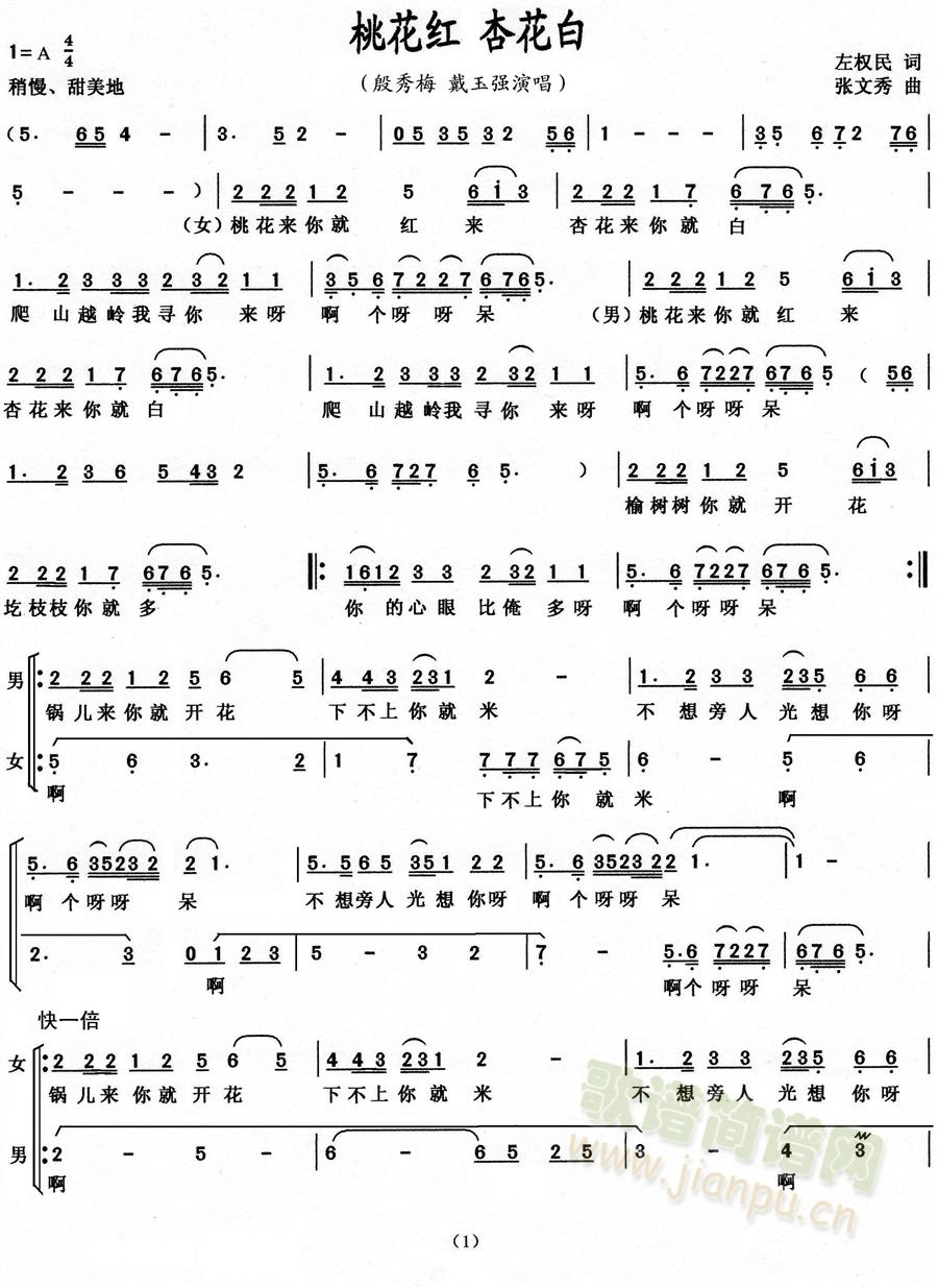 �һ��t �ӻ���(���ָ��V)1