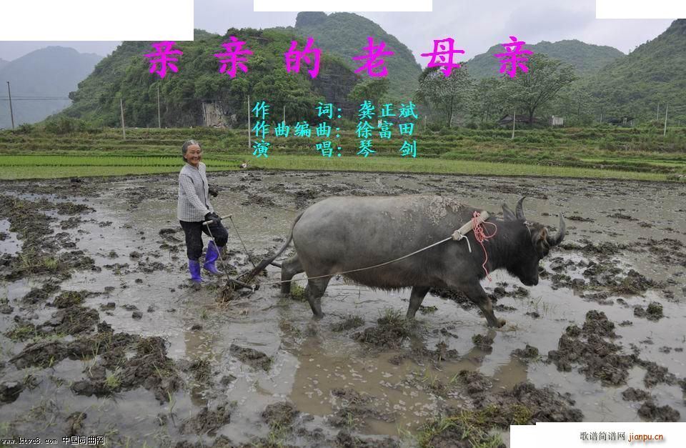 �H�H����ĸ�H ��(���ָ��V)1