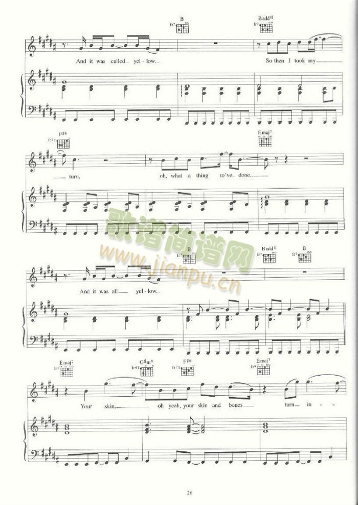 YELLOW(�����V)3