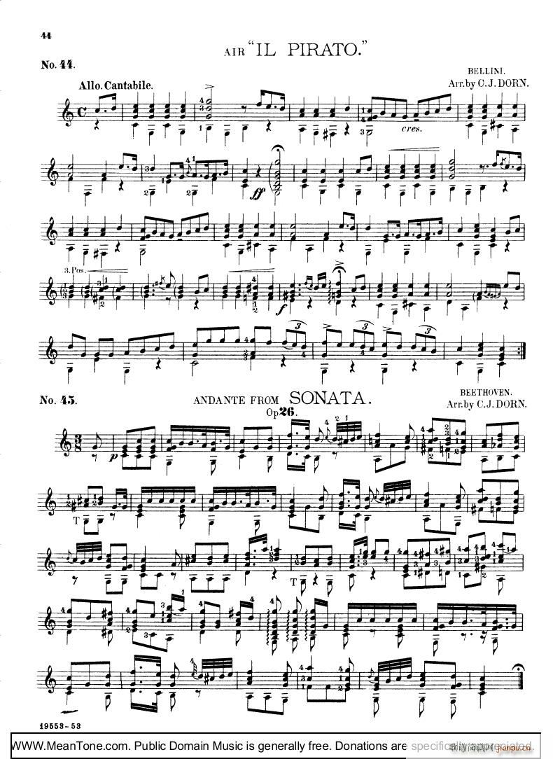 Il PiratoAndante(����V)1