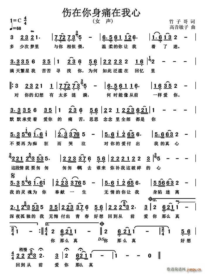 ��������ʹ������(���ָ��V)1