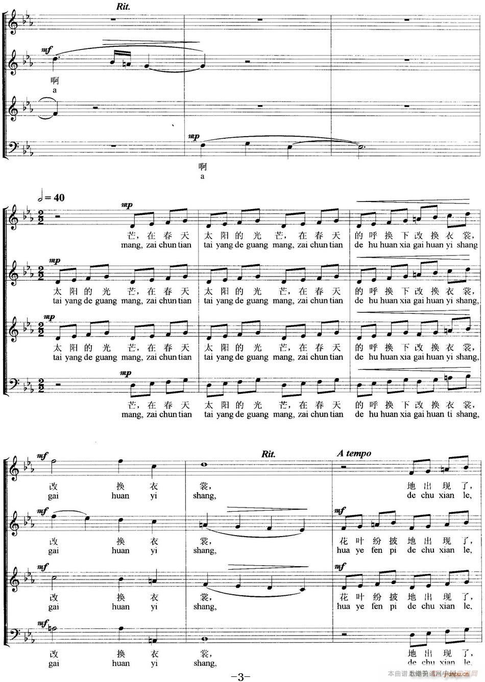 ɫ�ʰߔ� �o(w��)����ϳ�(�ϳ��V)3