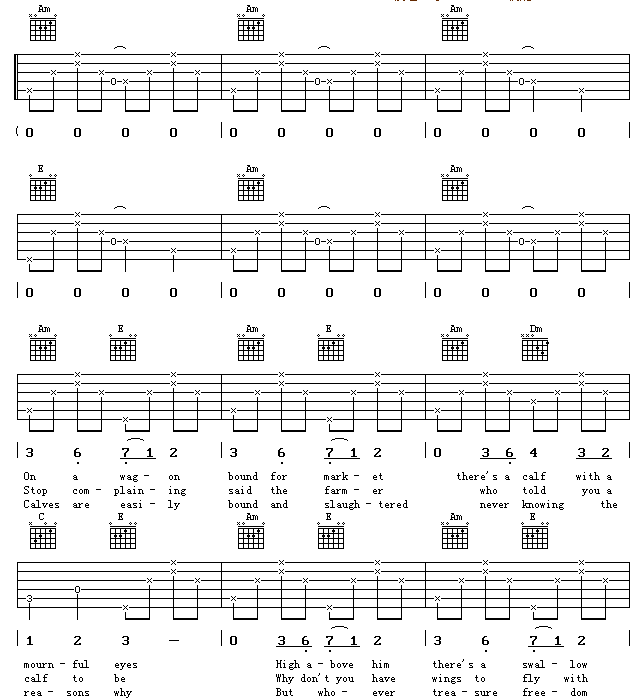 DonnaDonna�����V-(�����V)1