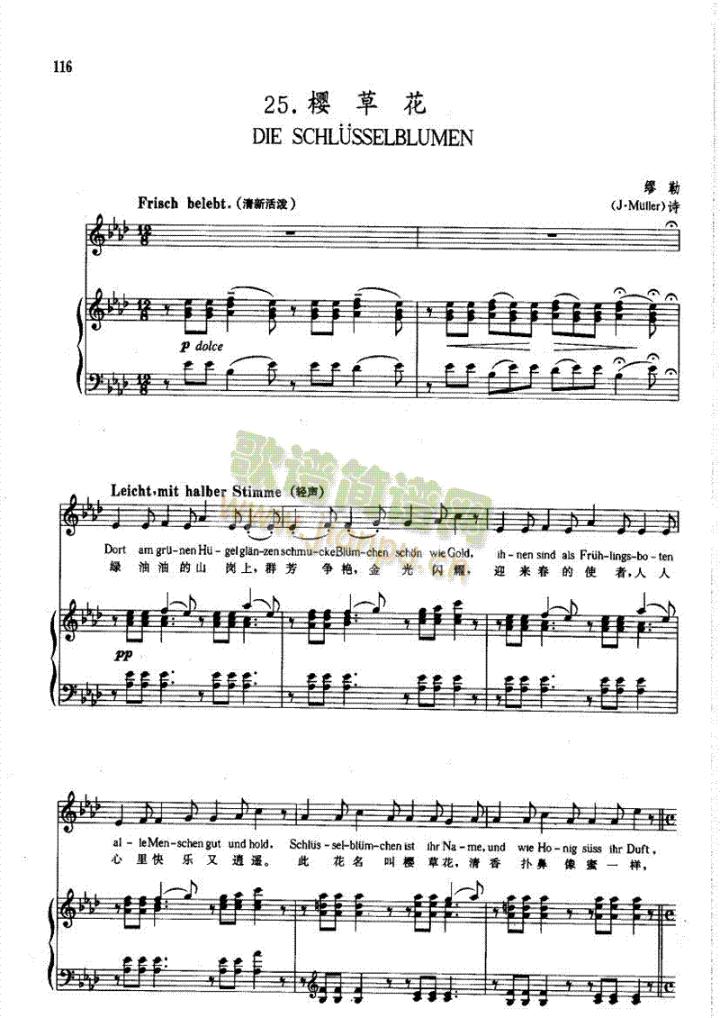 �Ѳݻ������(l��i)��ٰ����V(������(l�� )�V)1