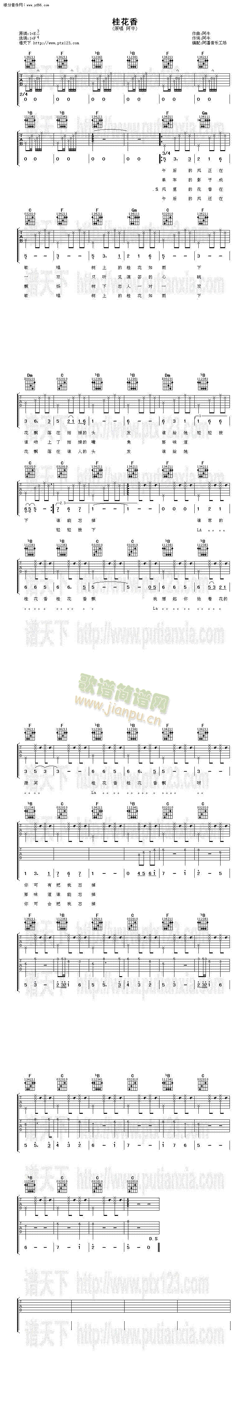 ����(�����V)1