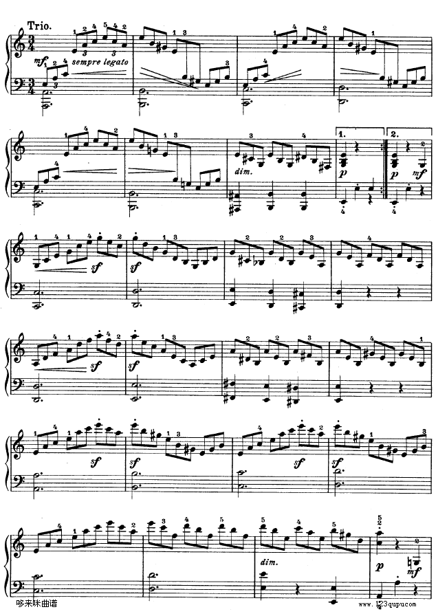 ����������Q��-Op.2No.3-ؐ���(����V)16