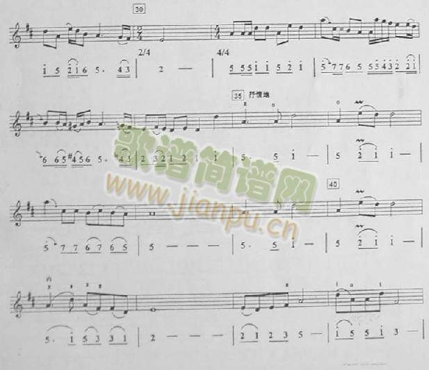 �����{(����)3