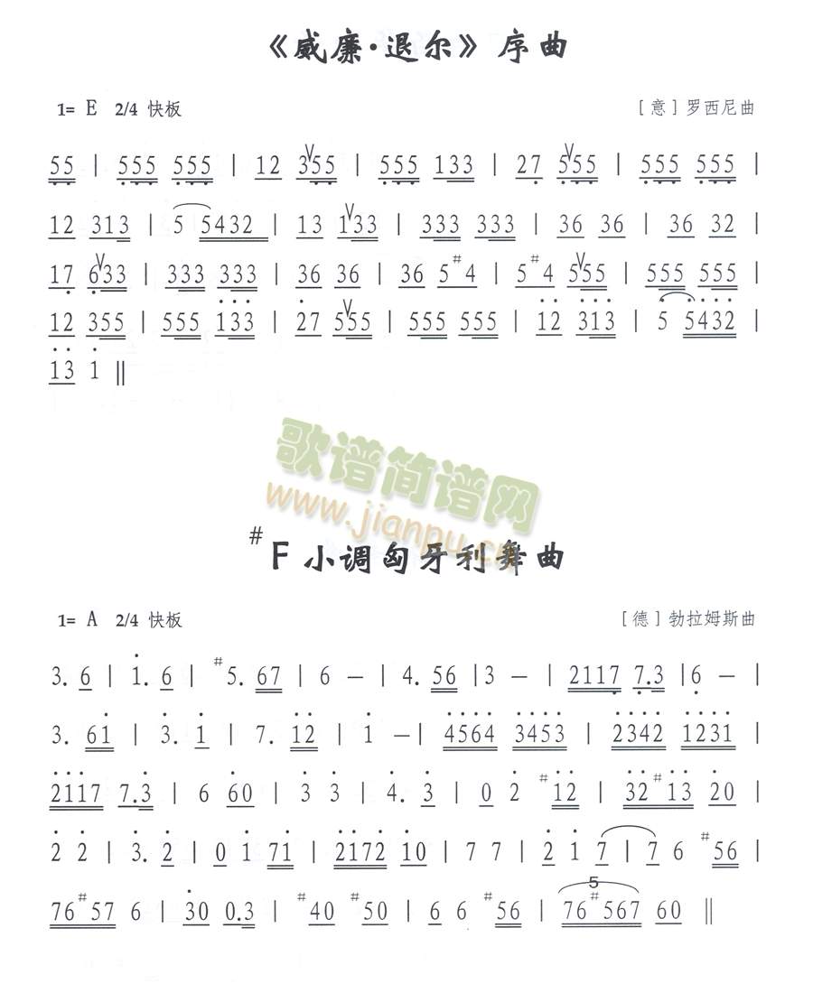 ����(���ָ��V)1