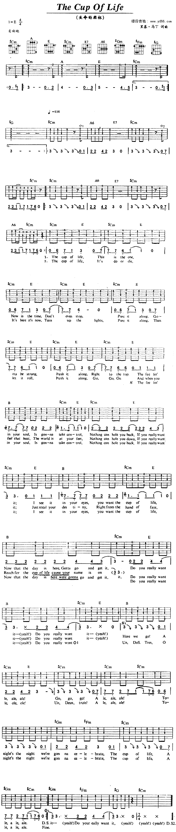 TheCupOfLife(�����V)1