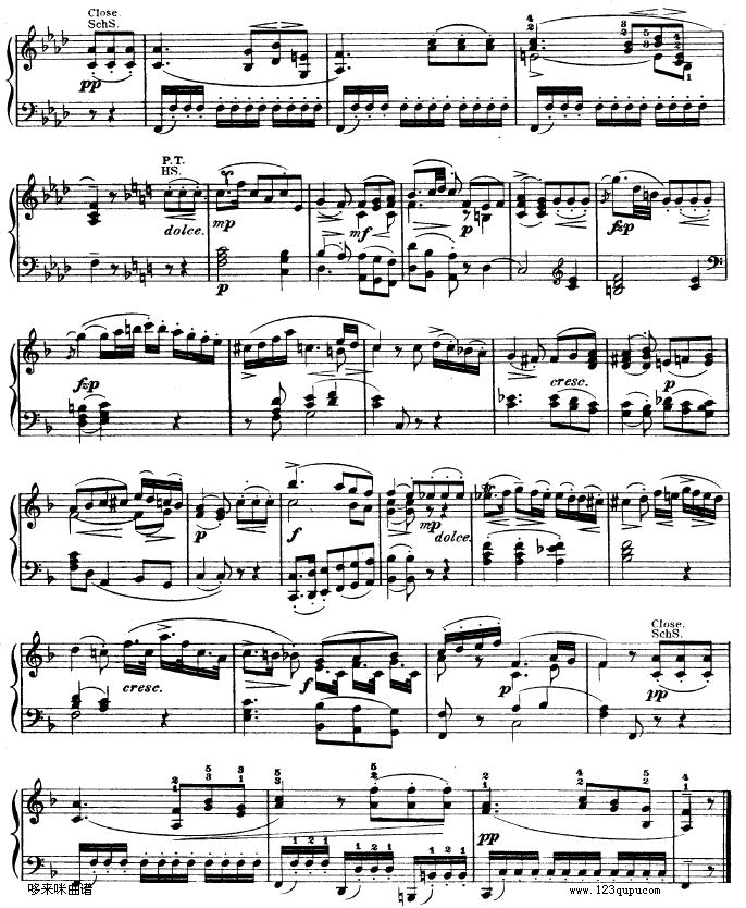 ������Q��kv330-Ī����(����V)8