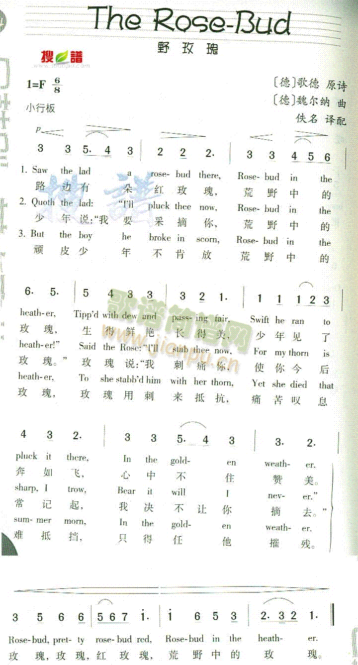 TheRose-Bud(ʮ�ּ�����)1