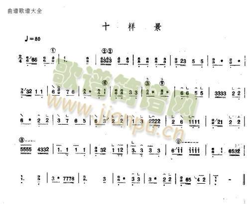 ʮ�Ӿ�(�Ź~�P���V)1