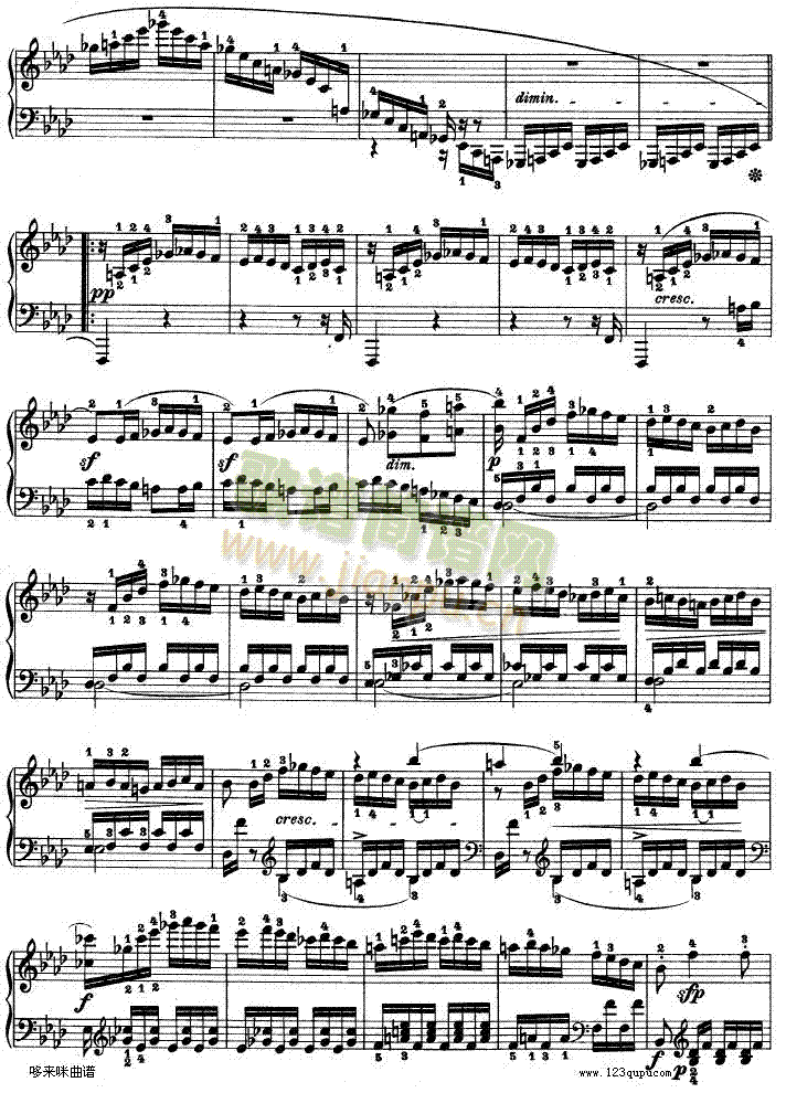 �������Q��-��Ʒ57̖-ؐ���(����V)23