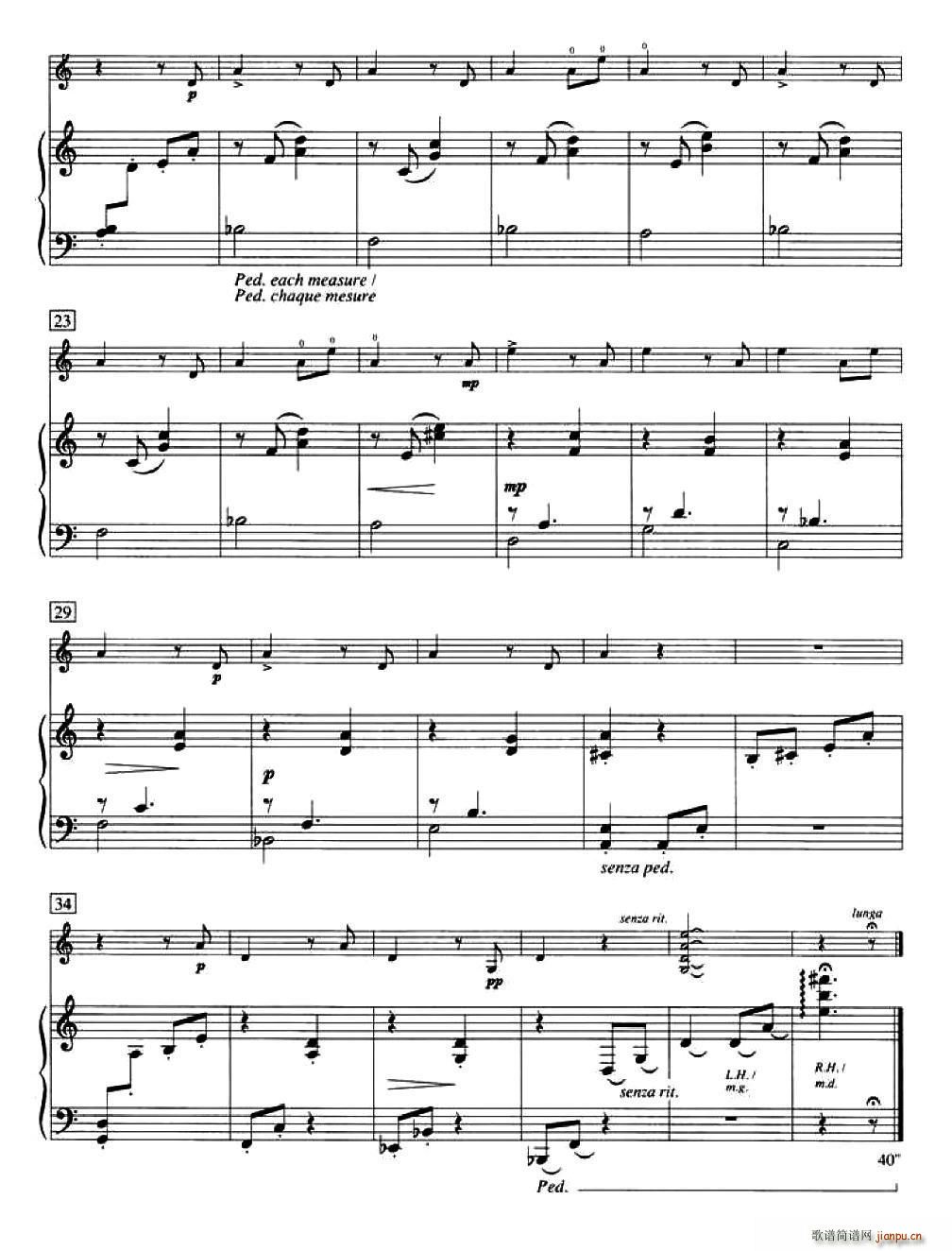 Serenade ���ô�С���ٿ��� �A�伉(С�����V)3