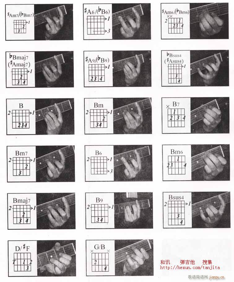 ����ָ��(�����V)6