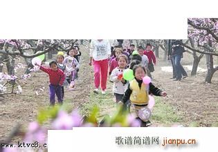 ���� ����(���ָ��V)1