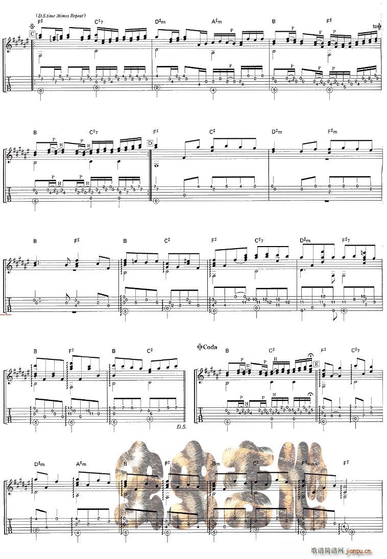 canon������(�����V)3