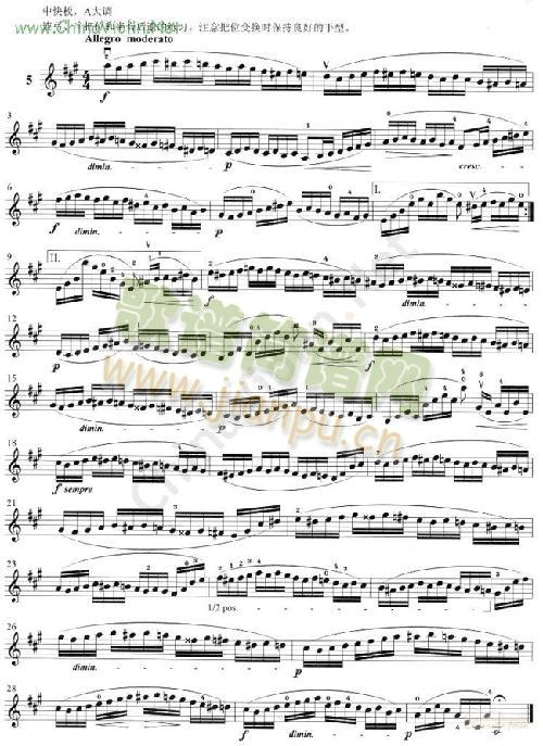 �D��(С�����V)6