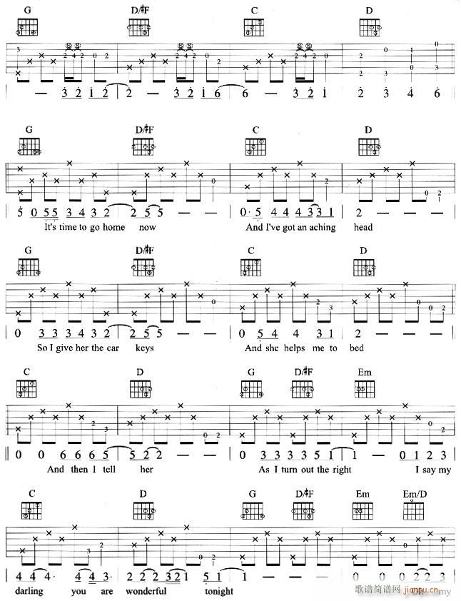 wonderful  tonight(�����V)3