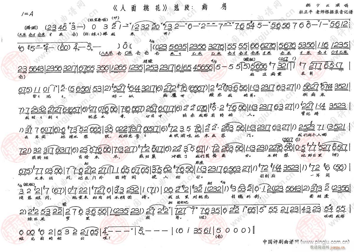 ����(���ָ��V)1