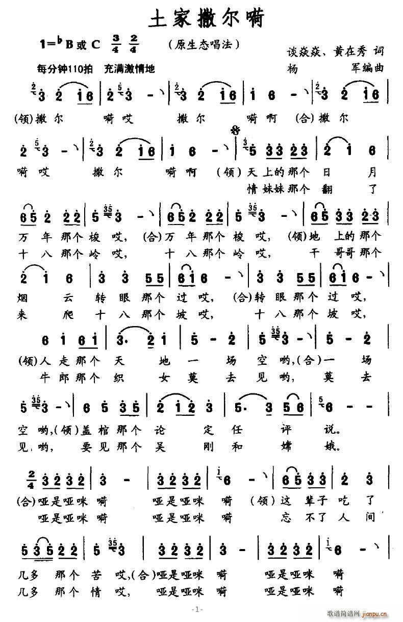 ����������(���ָ��V)1