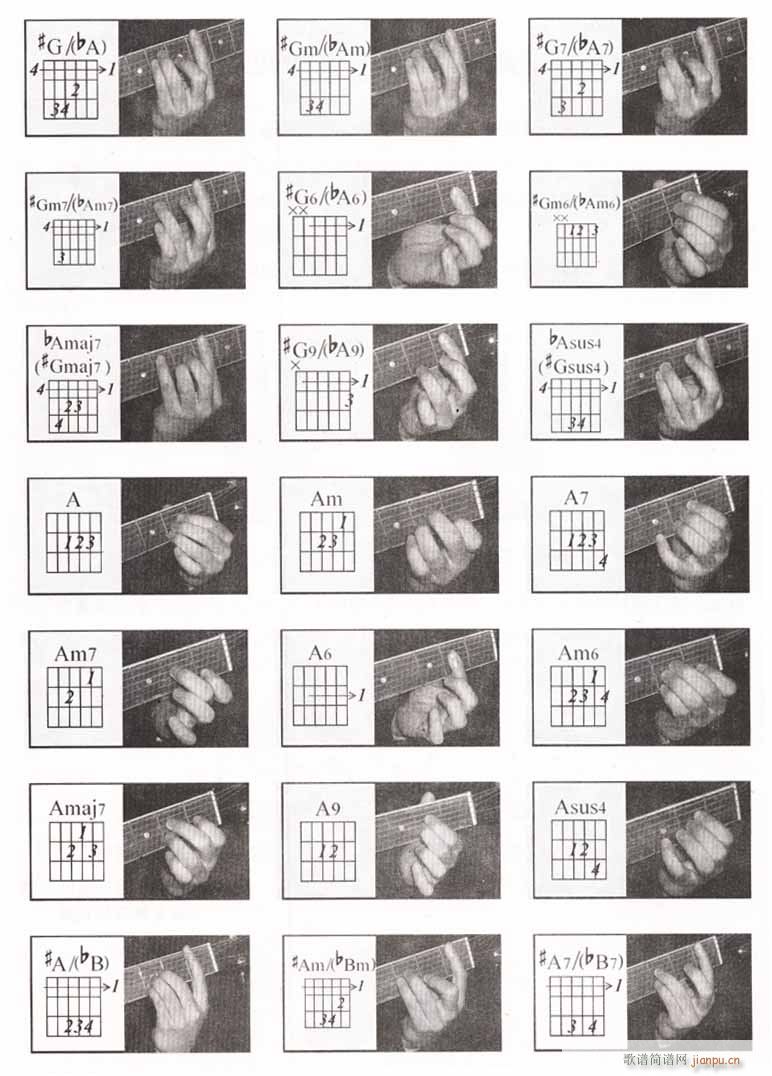 ����ָ��(�����V)5