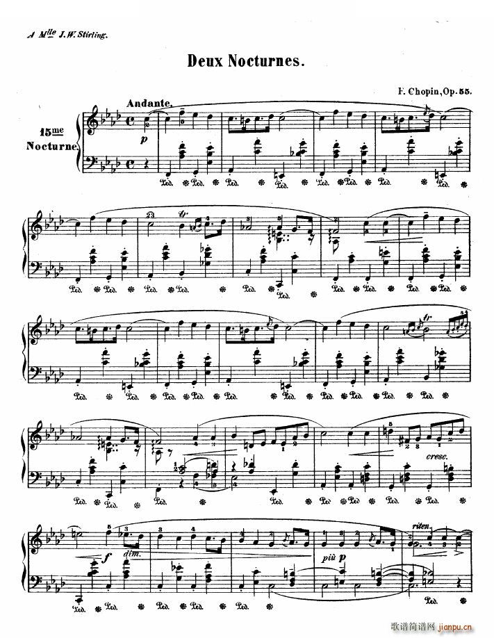 ҹ��No 15 OP 55 1 OP 55 1(ʮ�ּ�����)1