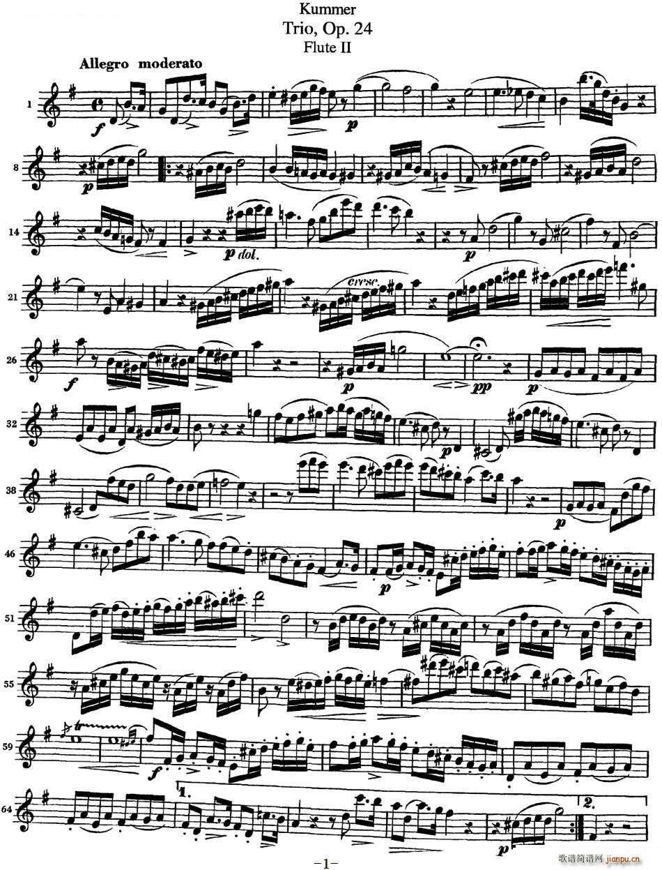 ��Ĭ�L(ch��ng)��������Op 24 Flute 2(�Ѻ��V)1