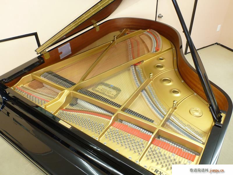 �����֪�� �����(����V)5