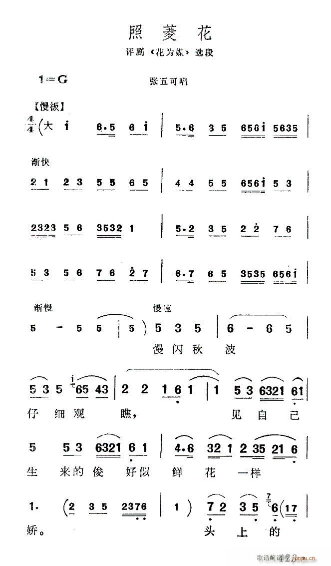 ���⻨-�u��(�������V)1