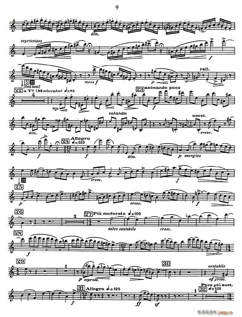 �������Z��(���ָ��V)5