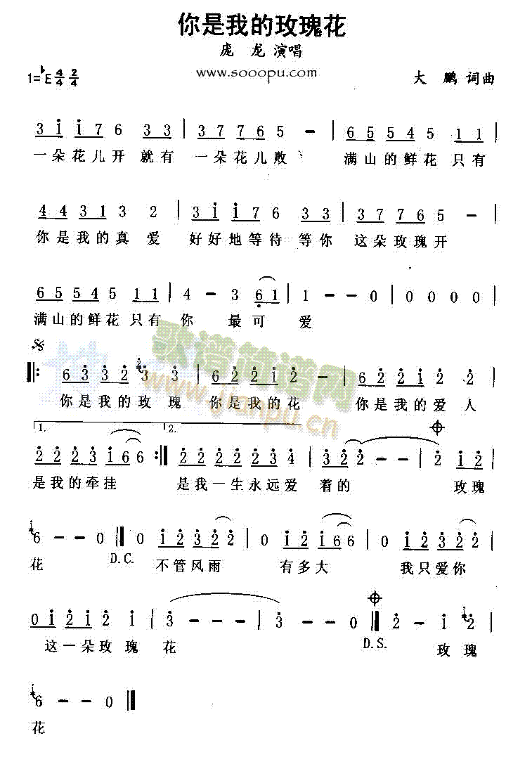 �����ҵ�õ�廨(���ָ��V)1