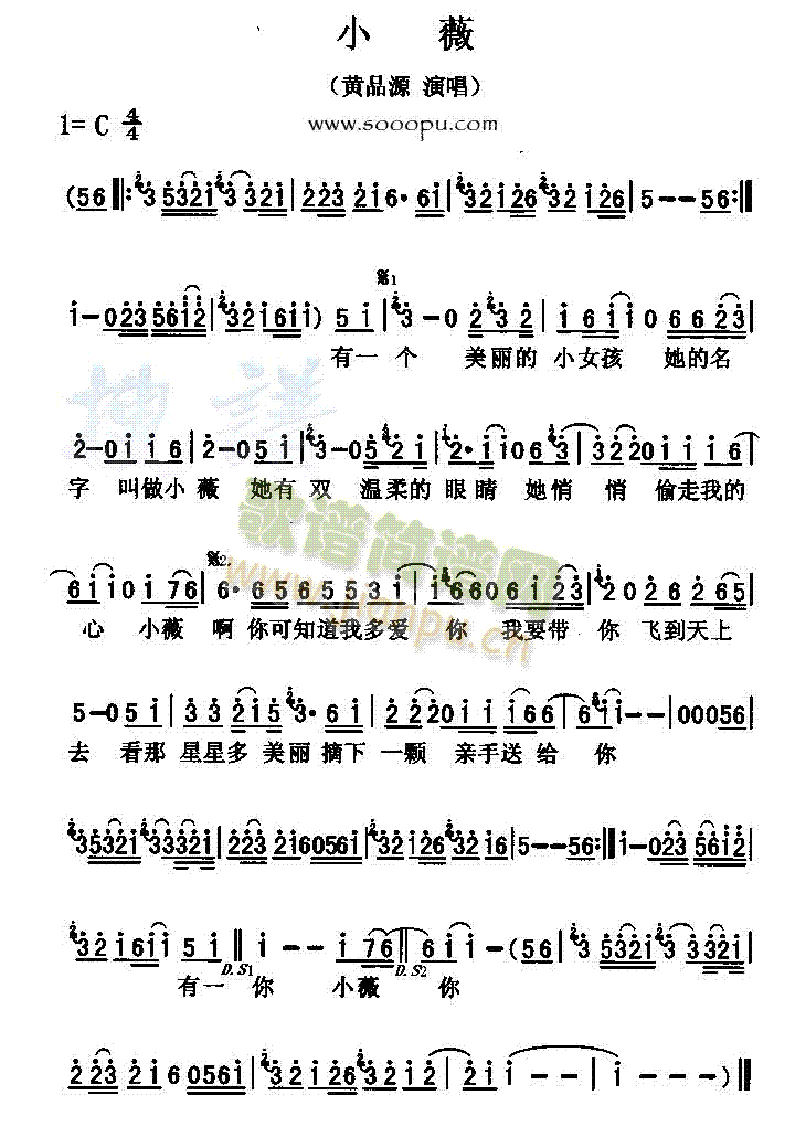 Сޱ(���ָ��V)1