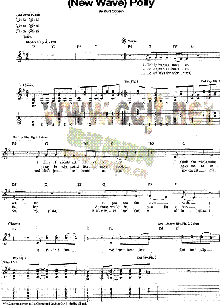 Polly-Nirvana(�����V)1