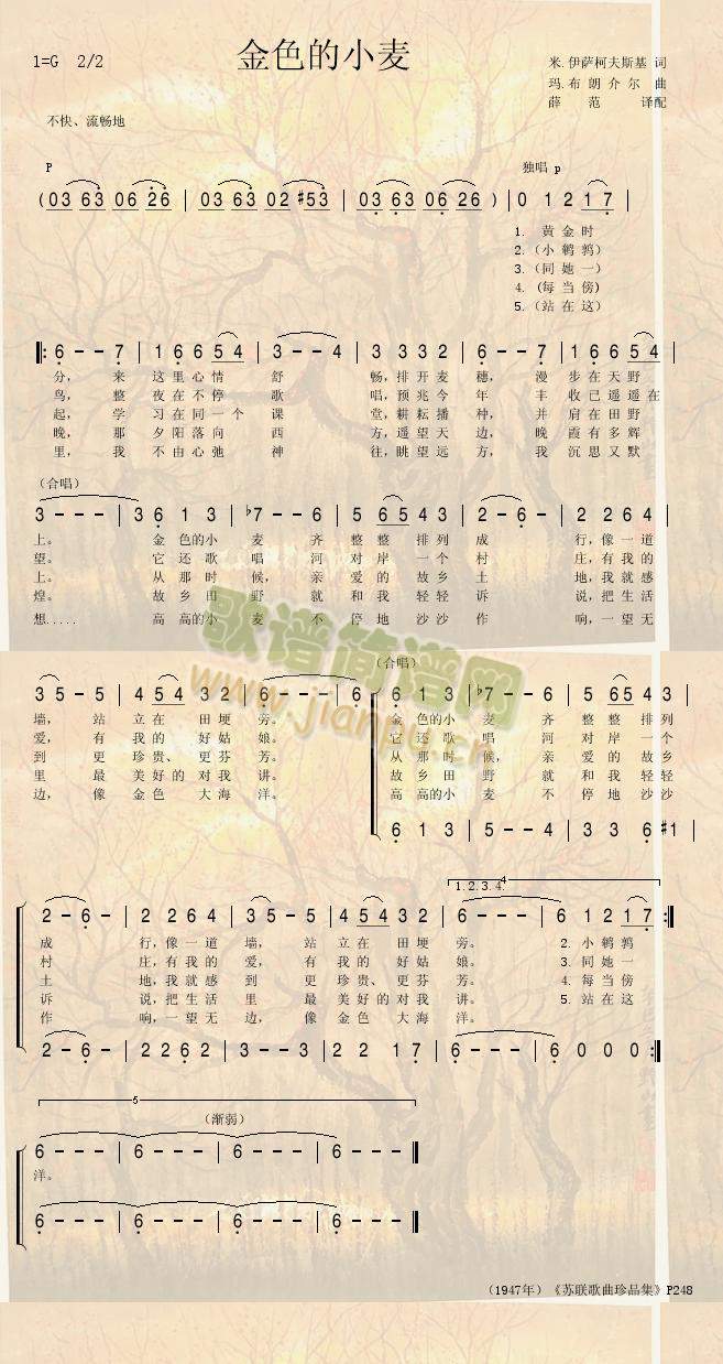 ��ɫ��С��(���ָ��V)1