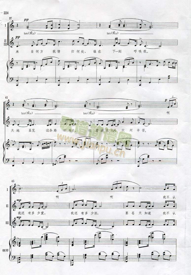 �ж�����(����V)1