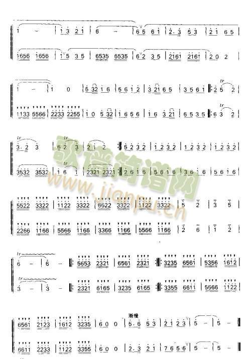 �g�c(��ʒ�V)5