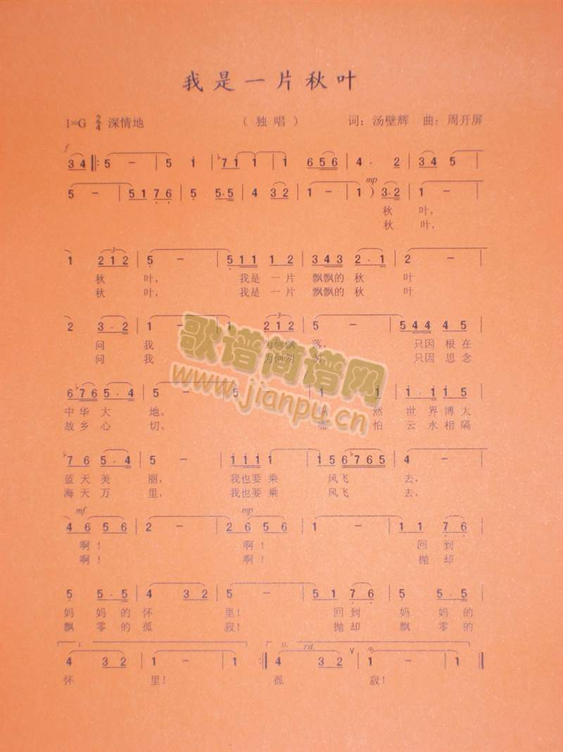 ����һƬ���~(���ָ��V)1