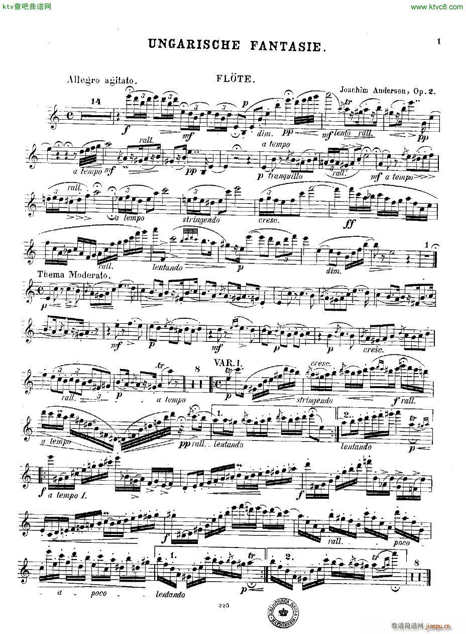 Andersen op 2 Ungarische Fantasie fl pno(����V)16