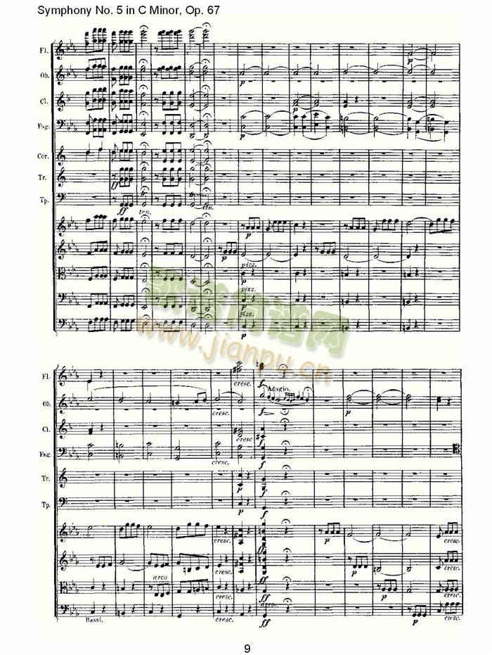 C���{���彻���(���V)9