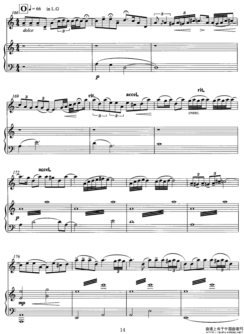 �w��P14(���ָ��V)1