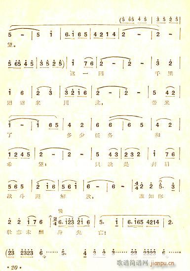 ������(���ָ��V)6