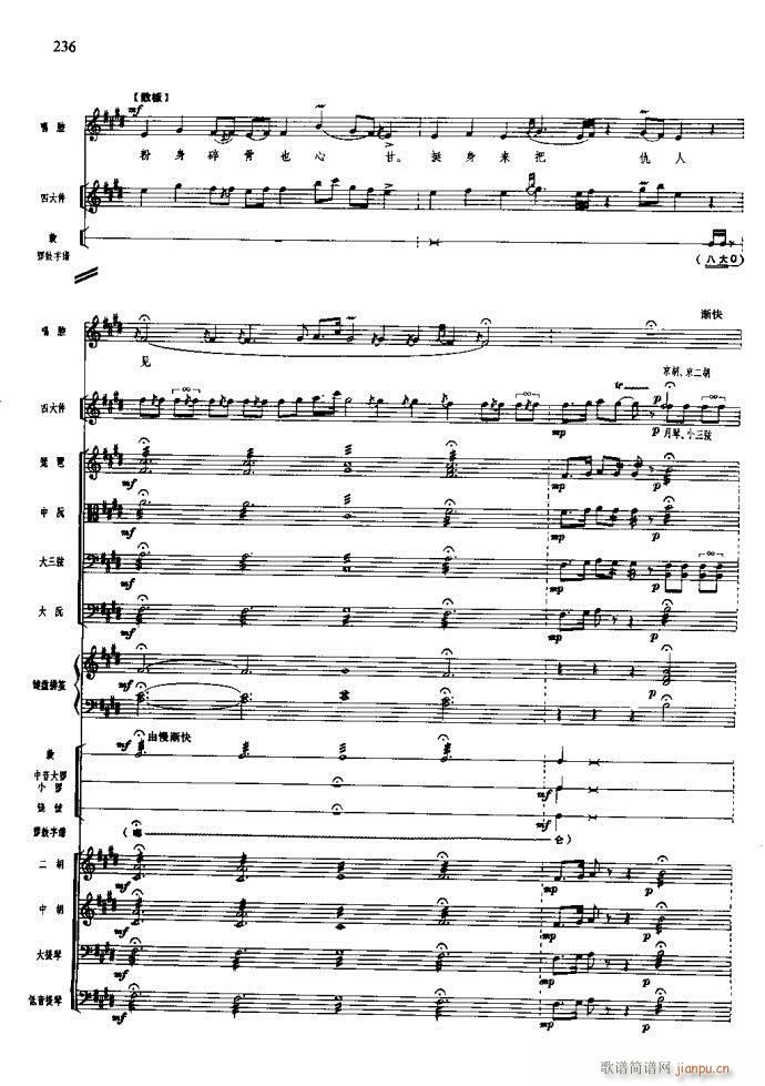 ɳ��� 221 260(���V)16