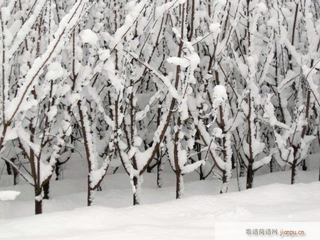 Ո��(l��i)���p�ұ���������(ʮ�ּ�����)1