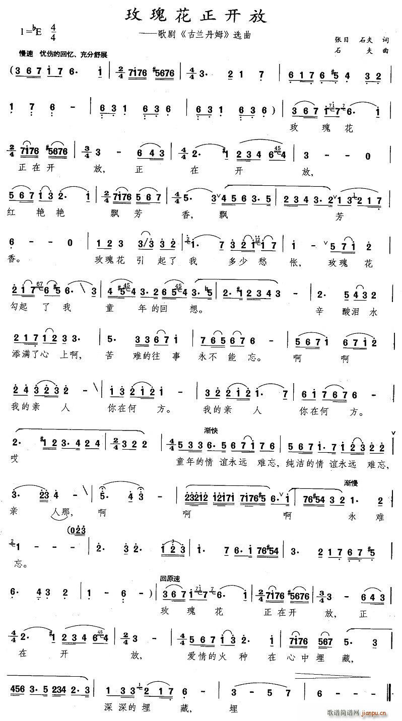 õ�廨���_(k��i)��(���ָ��V)1