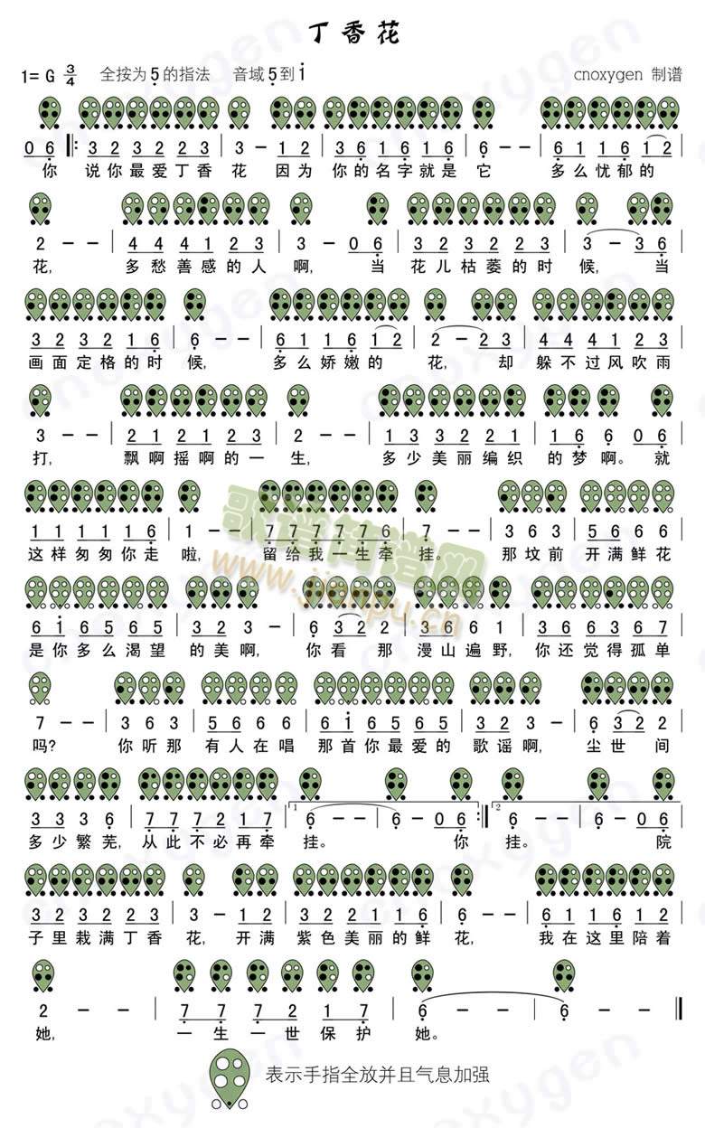 ���㻨(������(l�� )�V)1