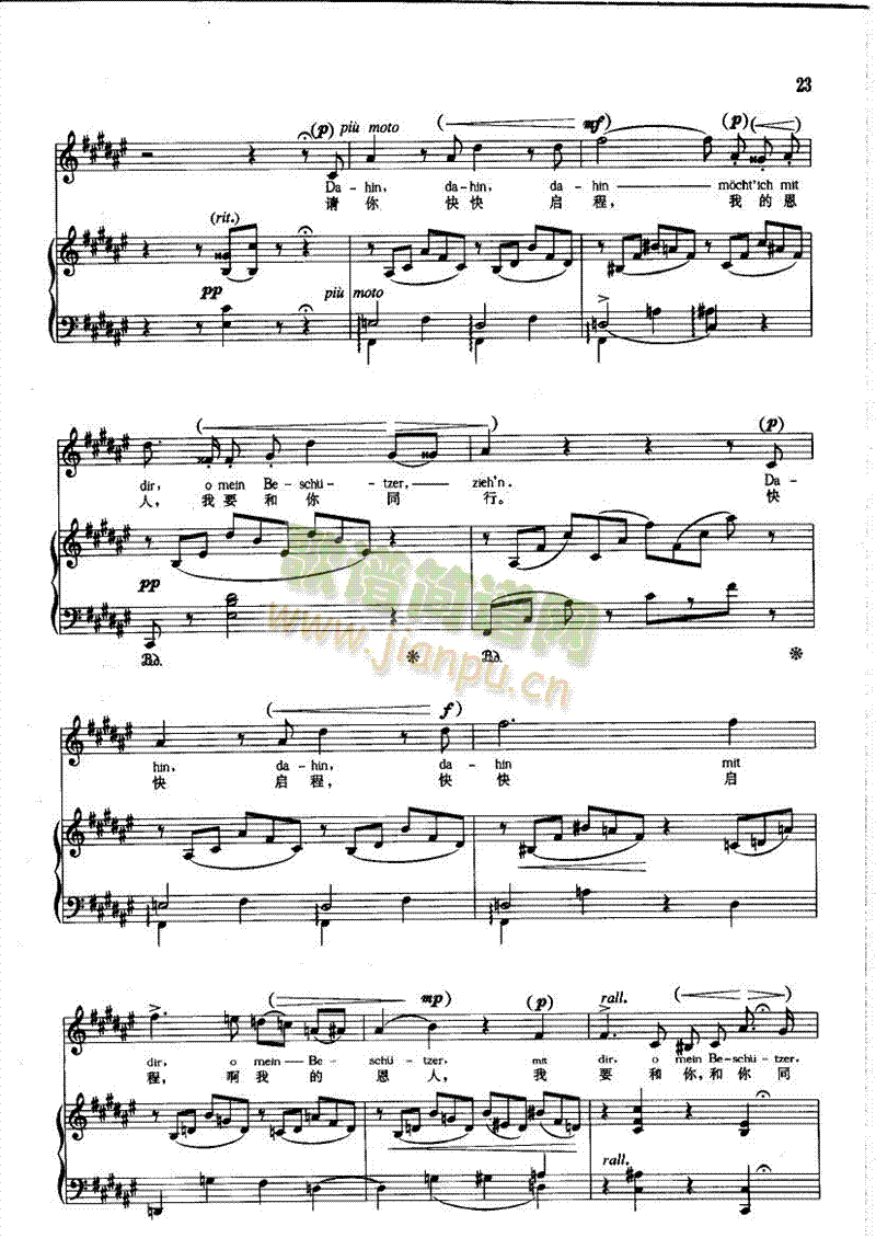 ����֮������(l��i)��ٰ����V(������(l�� )�V)5