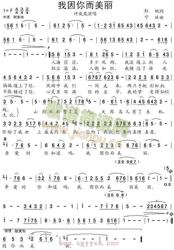 �����������(���ָ��V)1