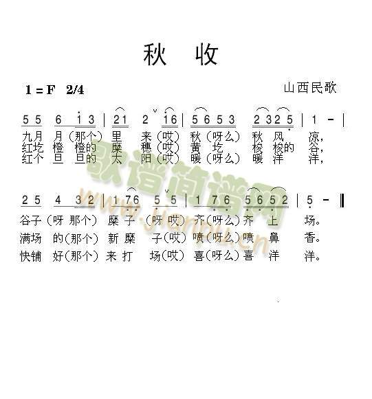 ����(���ָ��V)1