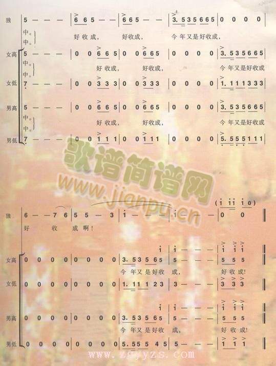 ������(���ָ��V)5